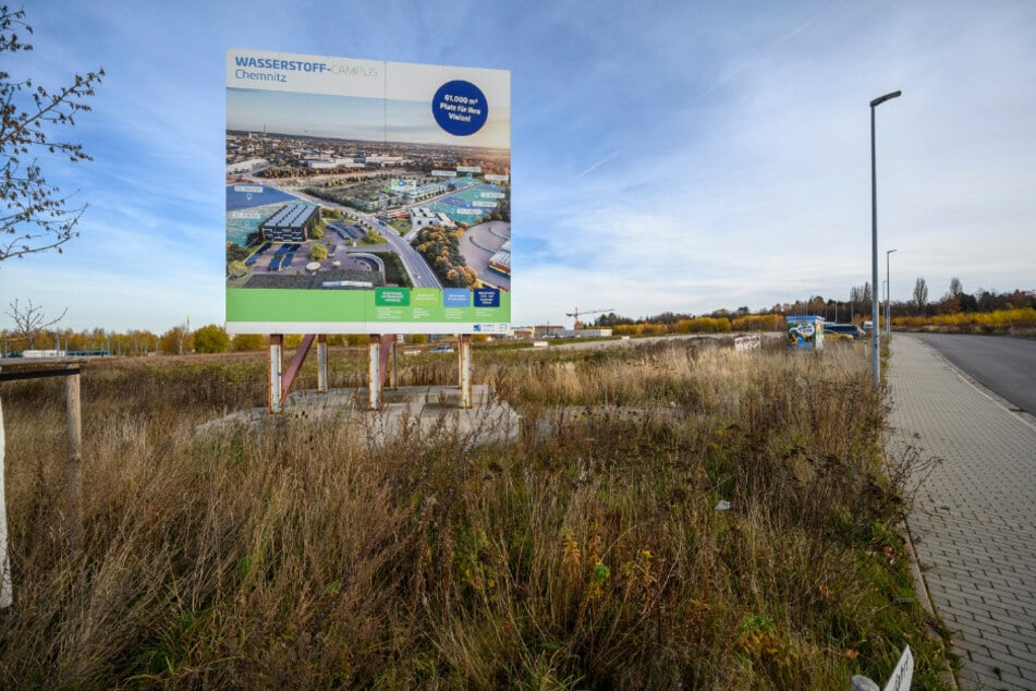 Auf dem künftigen Wasserstoff-Campus steht bisher nur eine Bautafel.