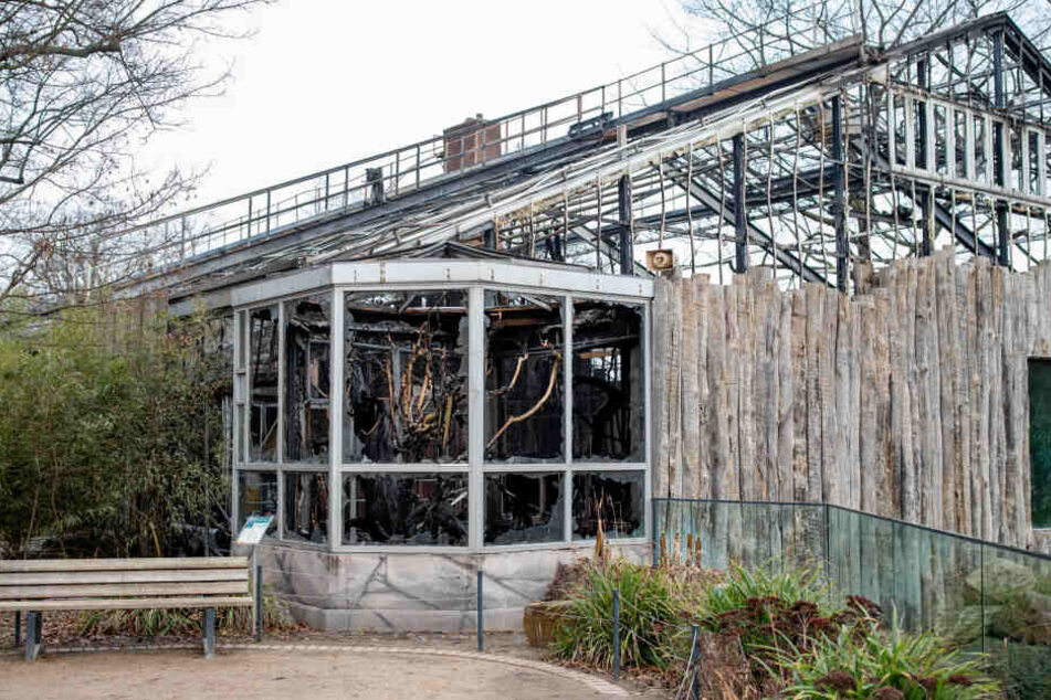 Das abgebrannte Affenhaus des Krefelder Zoos.