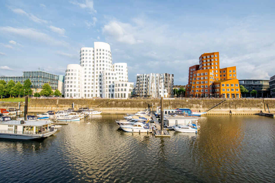 Heino (80) sucht eine Wohnung in Düsseldorf.