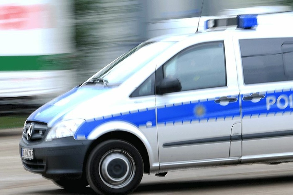 Die Polizei alarmierte den Besitzer, der dann die Tiere einfing. (Symbolbild)
