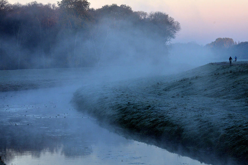 Das Naturschutzgebiet wird in den nächsten beiden Wochen unter Wasser stehen.