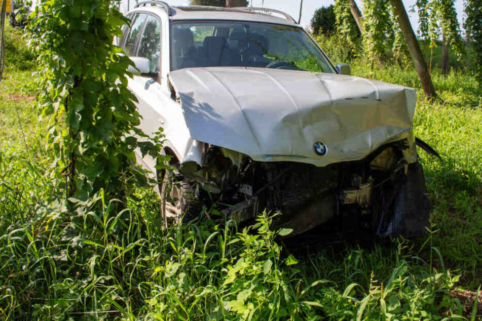 Endstation: Hopfenfeld. Der BMW wurde durch den Crash in eine Plantage geschleudert - die Fahrerin blieb unverletzt.
