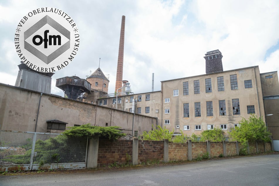 Dresden: In 380 Jahre alter Papierfabrik: Vandalen verwüsten historischen Schatz!