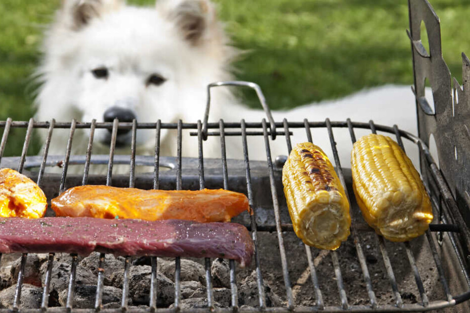 Feinstes vom Grill - tierisch lecker (Symbolbild)!