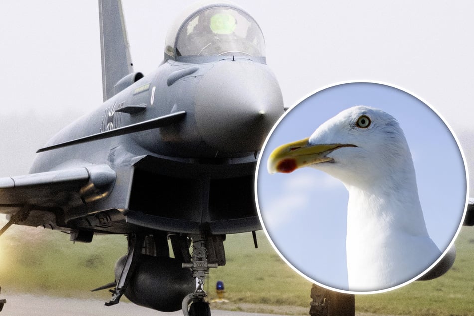 Zum Glück konnte der Pilot seinen Eurofighter Typhoon nach dem Zusammenprall zu einem nahe gelegenen Flugplatz manövrieren und sicher landen. (Symbolbild)