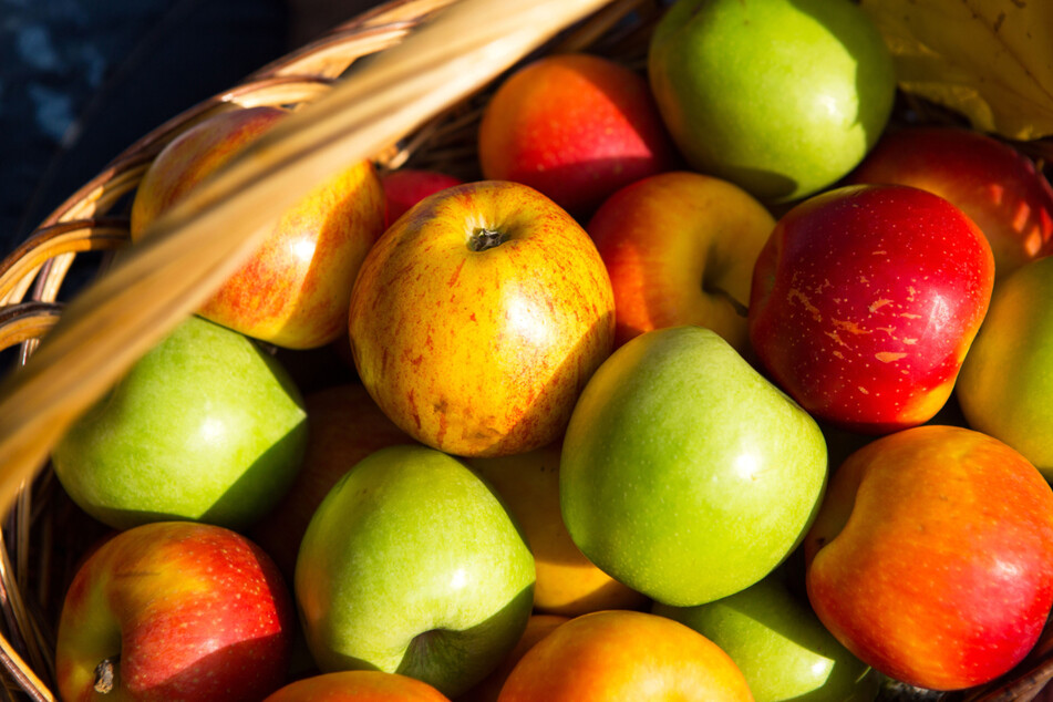 Das beliebteste Obst deutscher Verbraucher sind Äpfel.  Pro Jahr und Kopf wurden im Jahr 2020/21 rund 24.4 Kilogram Äpfel gegessen.  (symbol image)