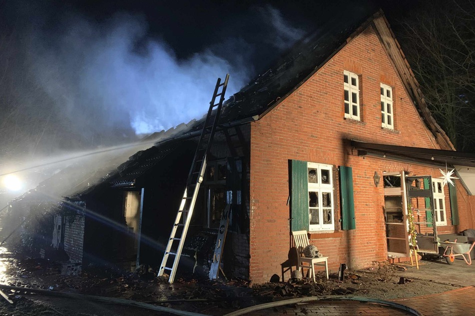 Feuer zerstört Wohnhaus: Frau und Katze retten sich ins Freie