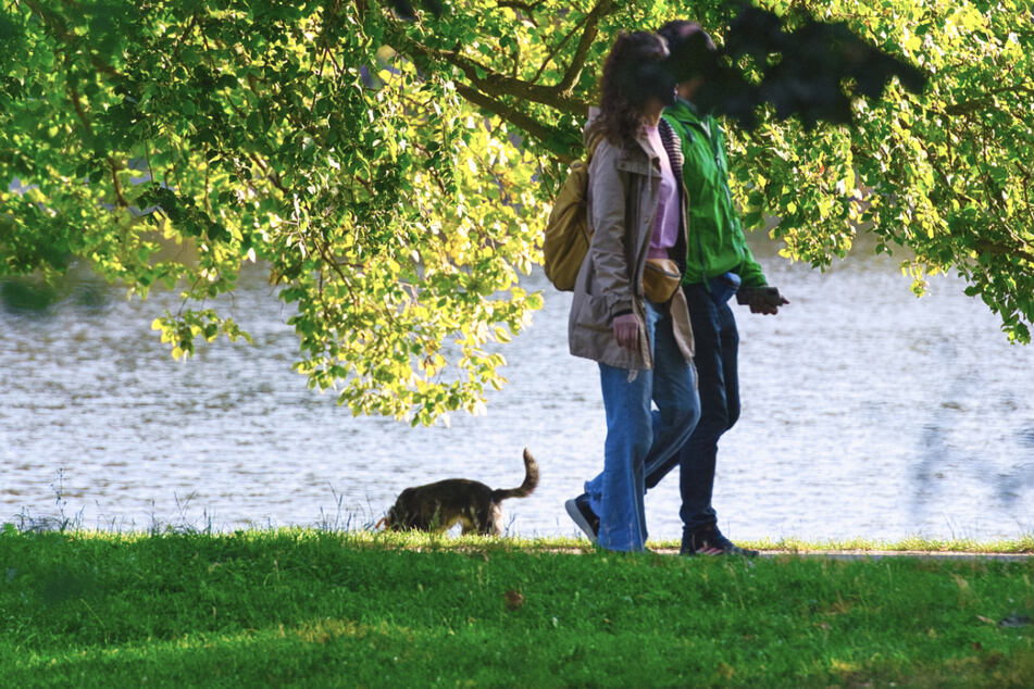 Am Treptower Park können Spaziergänger weiter den Spätsommer genießen.
