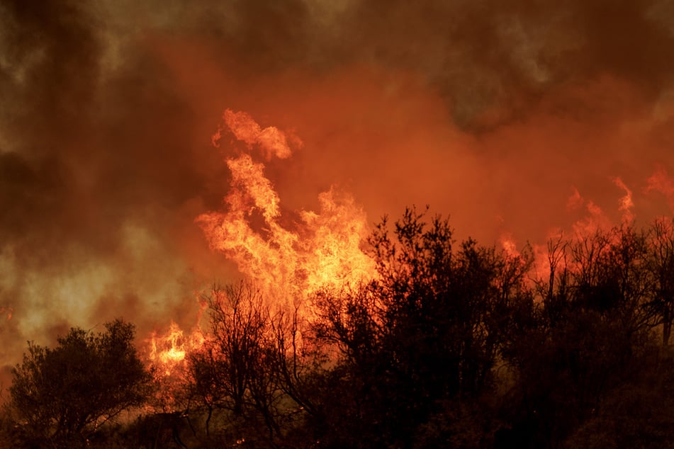 Flames from the Canyon Fire burn brush on Thursday in Castaic, California.