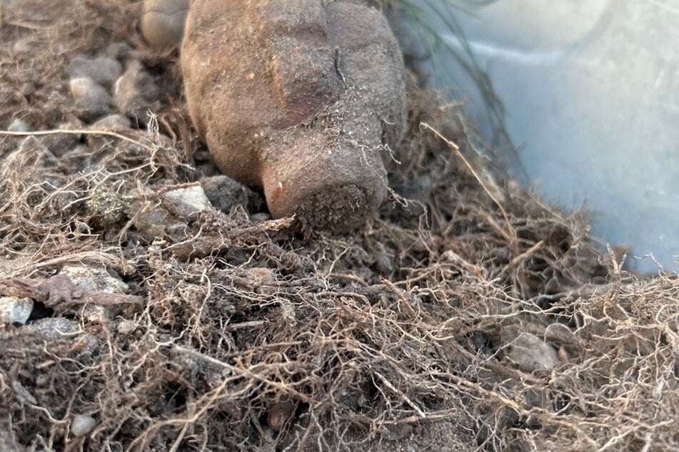 Die Fundmunition aus der Schubkarre in Neißeaue.