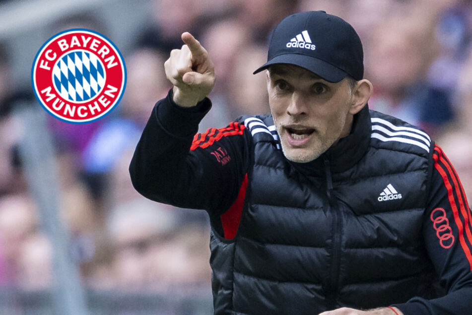Bayerns Titelkampf: Tuchel sieht "massive" Bringschuld bei Ex-Klub Mainz