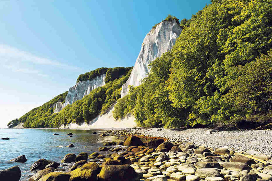 Bis zum Kreidefelsen auf Rügen tuckerte der rüstige Rentner aus dem Osterzgebirge auf seiner Schwalbe.