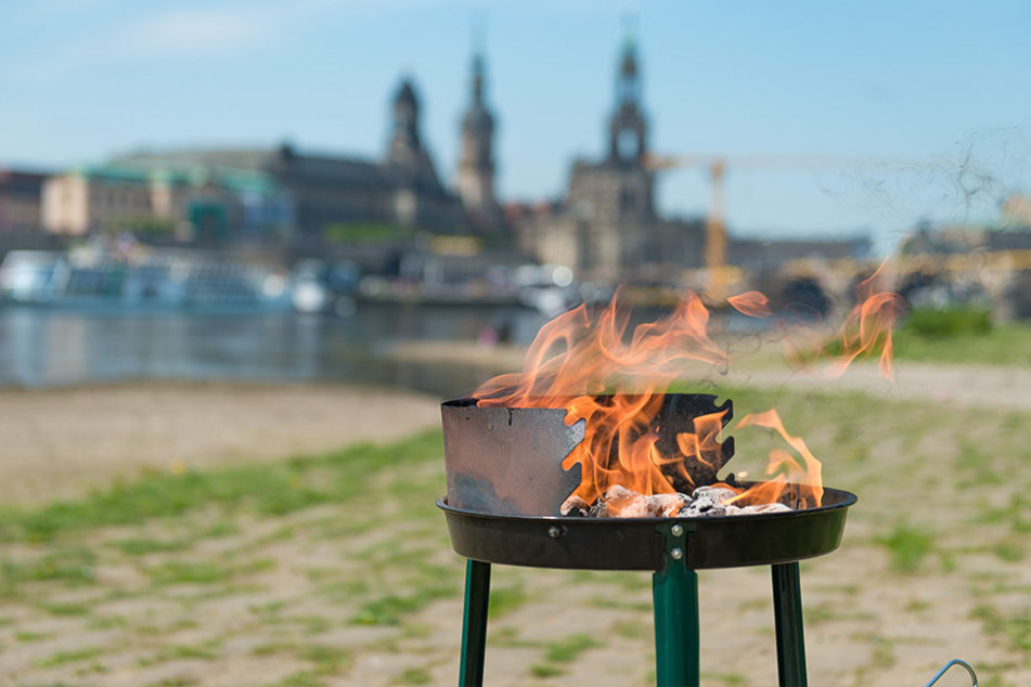 Nirgendwo feuern Dresdner ihren Grill lieber an als an der Elbe.