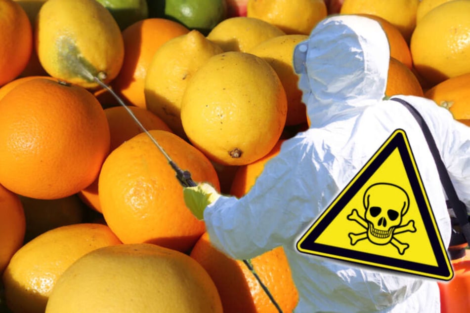 Orangen, Mandarinen, Grapefruits verunreinigt! EU verbietet Insektenkiller