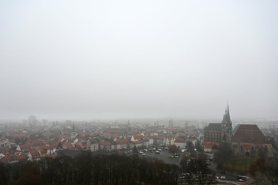 In der zweiten Jahreshälfte sollen in großen Teilen des Stadtgebiets Seismik-Messungen erfolgen. (Archivbild)