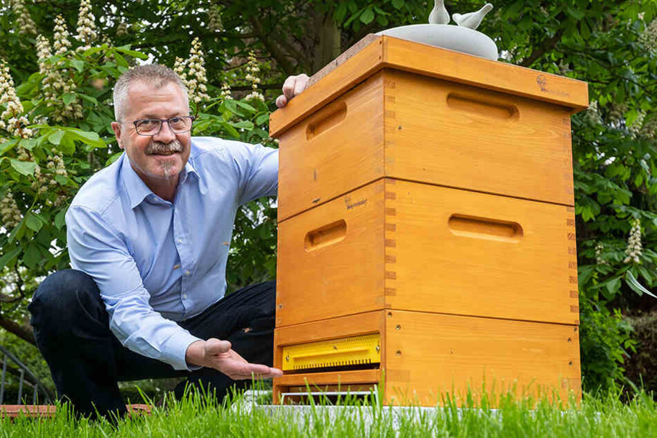Bürgermeister Miko Runkel (56, parteilos) herrscht jetzt über ein eigenes Volk - von Bienen.
