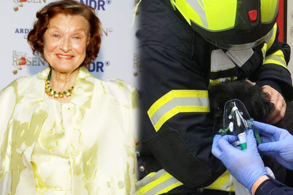 Brand bei Rote-Rosen-Star: So dramatisch lief die Rettung ihres Hundes ab