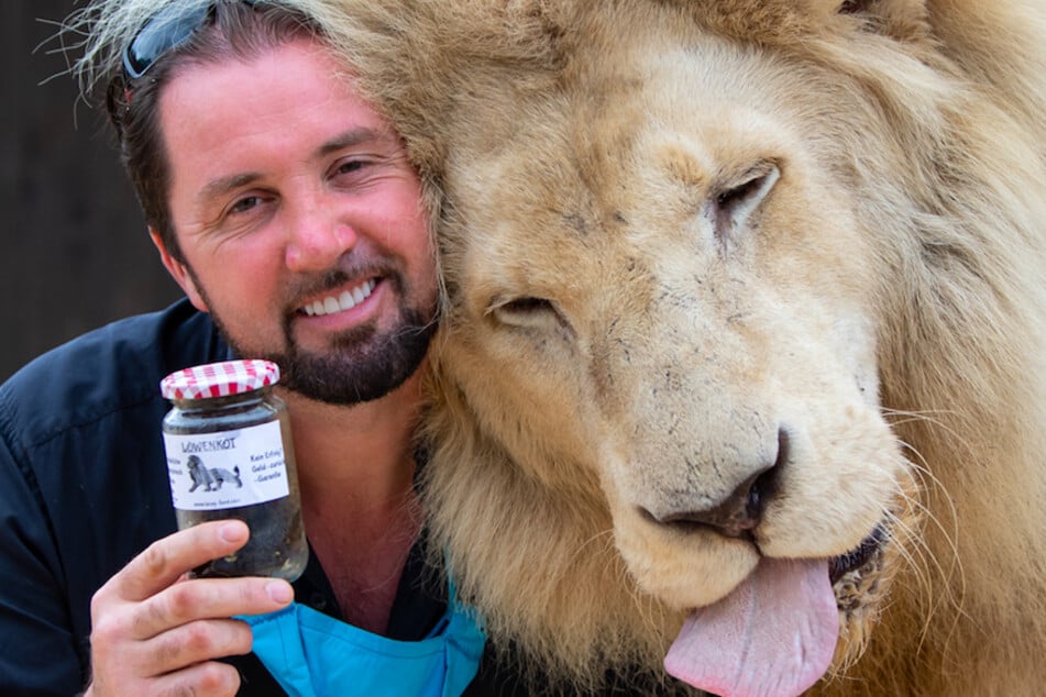 Martin Lacey (43), Löwen- und Tigerdompteur im Circus Krone, steht neben seinem Löwen King Tonga und hält dabei ein Glas mit Löwenkot in den Händen, das der Circus Krone verkauft.