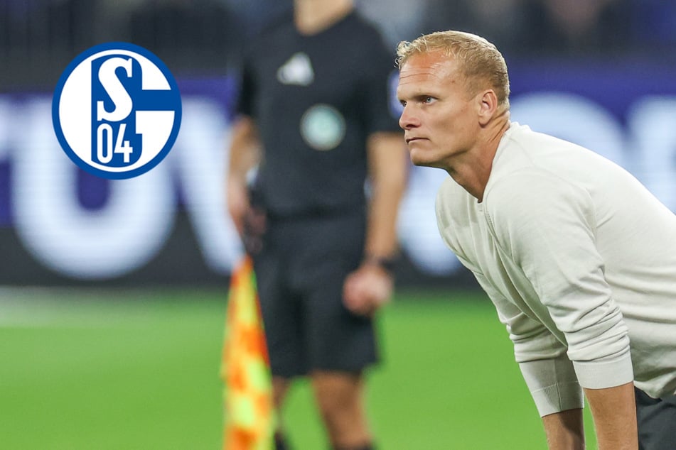 Auf Schalke wird es zappenduster: Nach Darmstadt-Debakel fliegen Trainer und Sportdirektor!