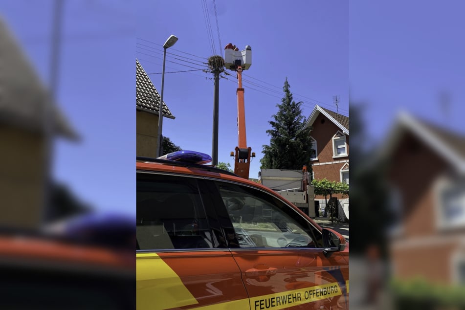 Die Feuerwehr Offenburg holen zwei tote Jungstörche von einem Strommast in Offenburg.
