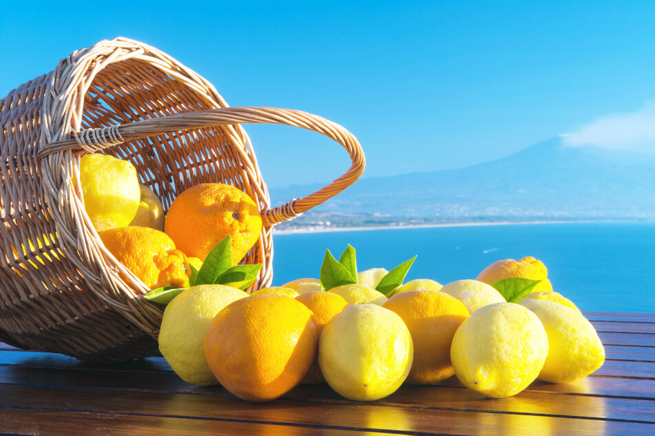 You can enjoy the sweet fruits of life with momento by sz trips in front of Mount Etna.