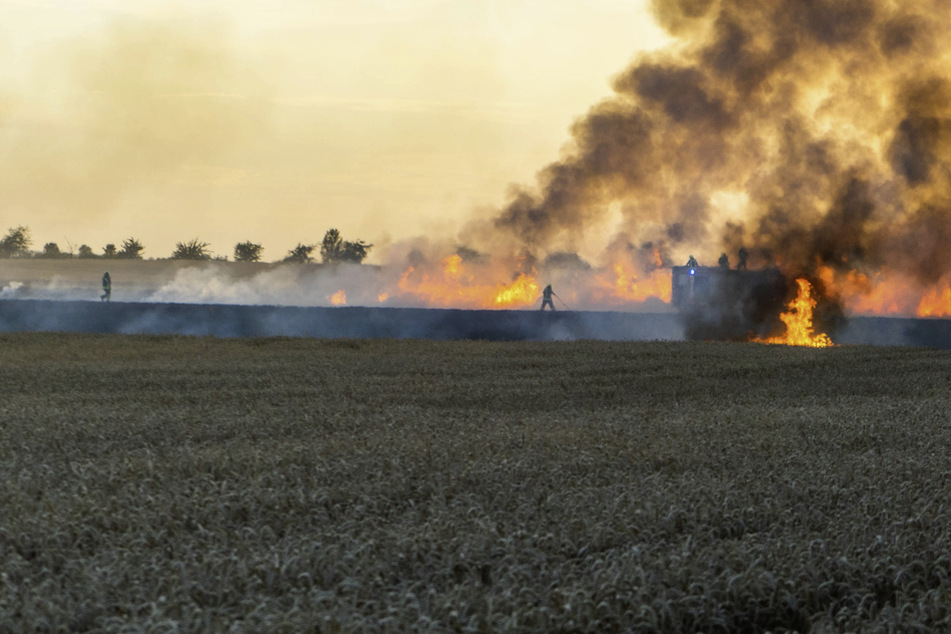 Gleich zweimal musste die Feuerwehr raus: Feldbrände verursachen zehntausende Euro Schaden