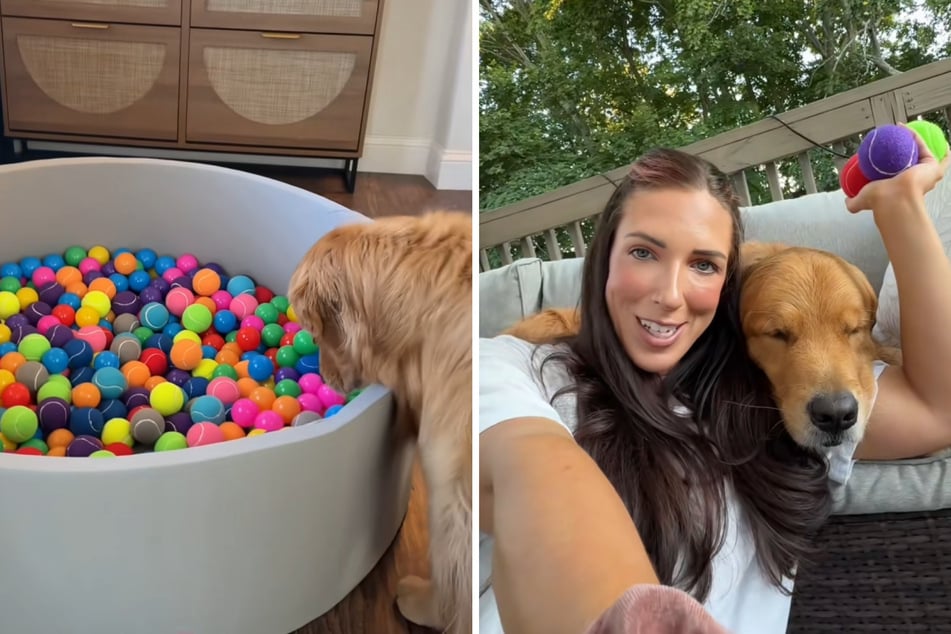 Weil ihr Golden Retriever Wally oft gefrustet wirkt, hat Frauchen Julia ihm ein Bällebad zum Spielen besorgt.