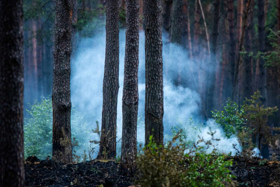 Das Feuer breitete sich auf rund 6000 Hektar aus.