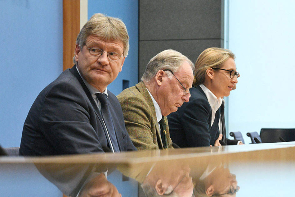 Die FDP legt keinen Wert, neben Jörg Meuthen, Alexander Gauland und Alice Weidel (v.l.n.r.) Platz zu nehmen.