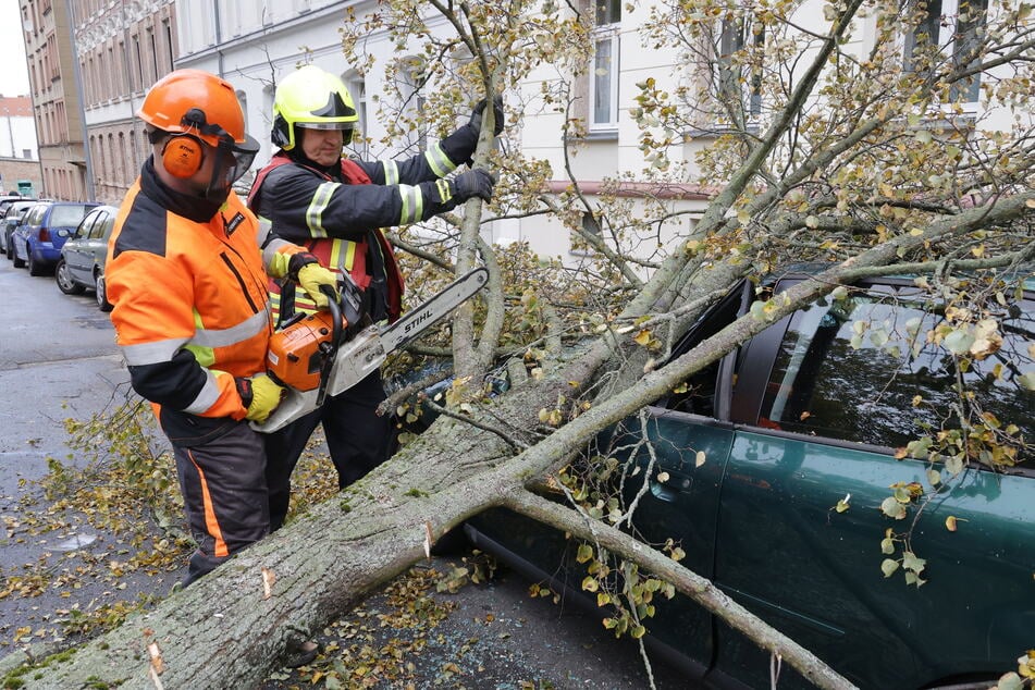 Wie hier auf der Blücherstraße muss die Feuerwehr vor allem im Frühjahr und Herbst umgestürzte Bäume beseitigen.