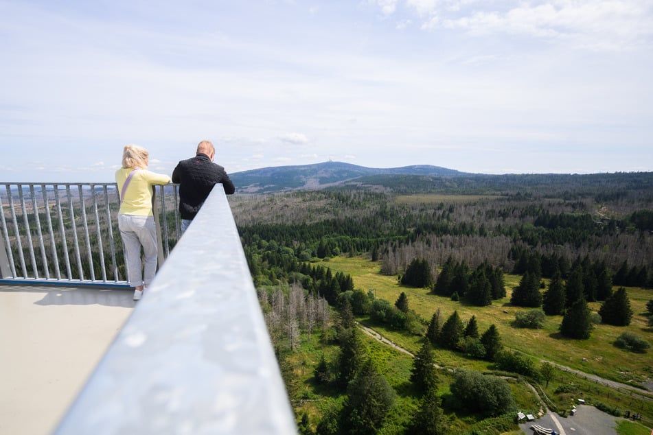 Besucher stehen auf der Aussichtsplattform des Harzturms und schauen Richtung Brocken.