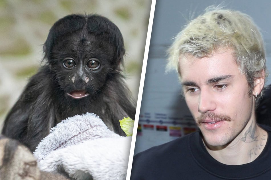 Justin Bieber (27, rechts im Bild) mag offensichtlich Äffchen, für ein Affen-NFT gab er nun jedenfalls eine irrsinnige Summe an Geld aus.