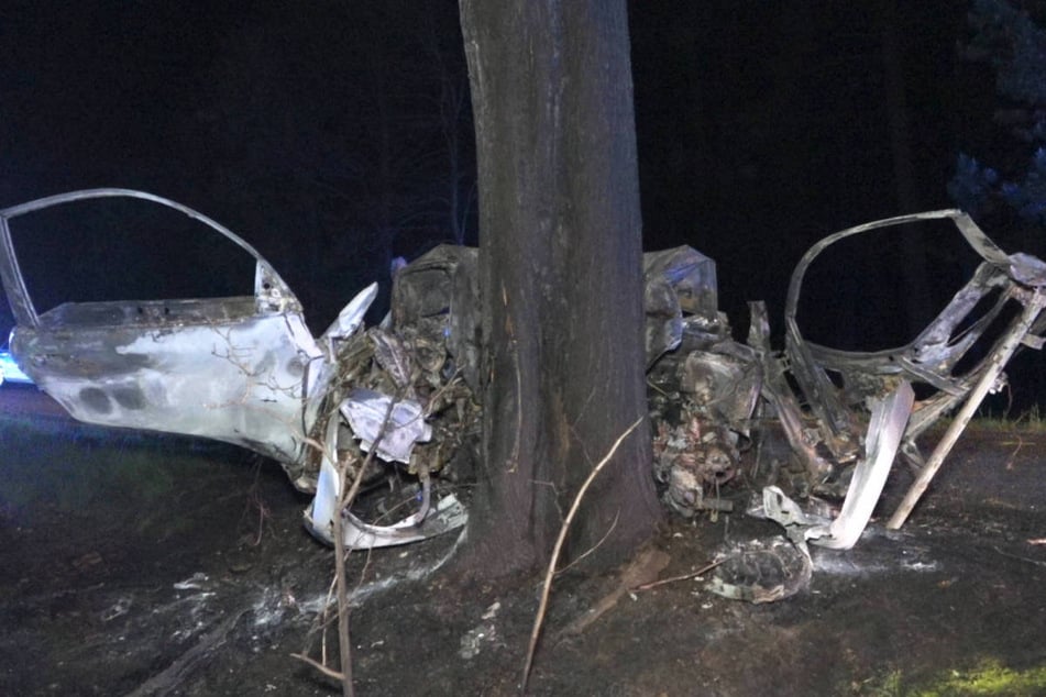 Das Auto ist frontal gegen einen Baum gekracht.