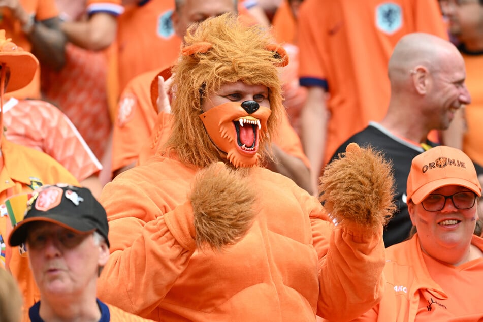 Im Logo des niederländischen Fußballverbands befindet sich ein Löwe - das hat sich dieser Oranje-Fan wohl zum Vorbild genommen.