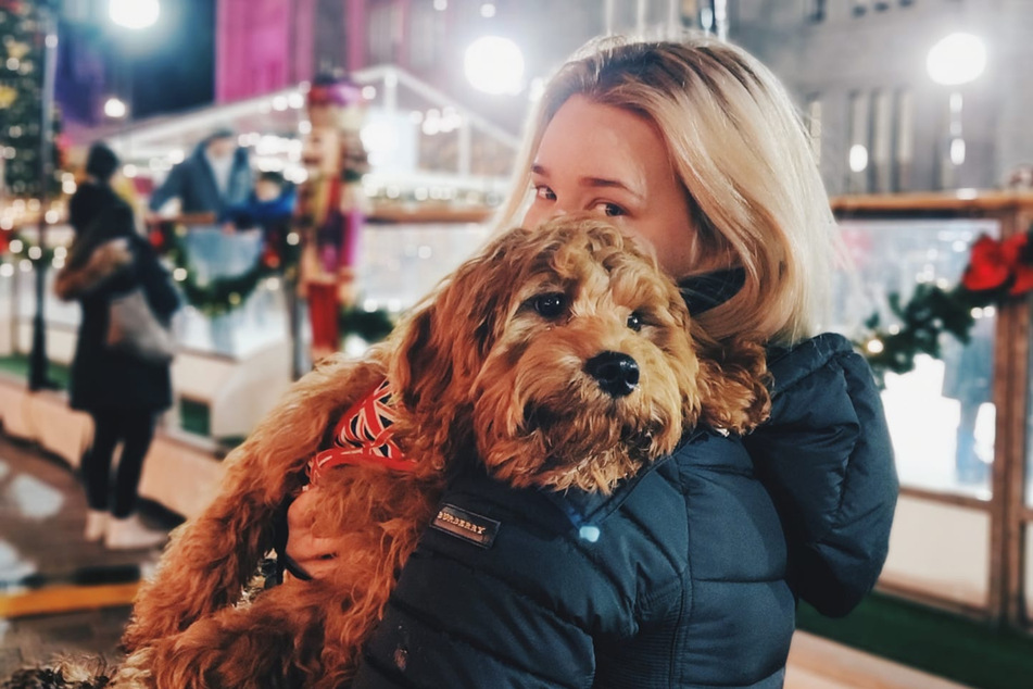 The dog Bear and his mistress Dasha Samatoina were fortunately reunited.