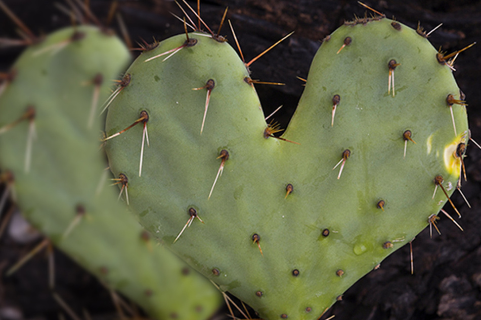 Valentine's Day in Austin doesn't have to be a prickly pair.