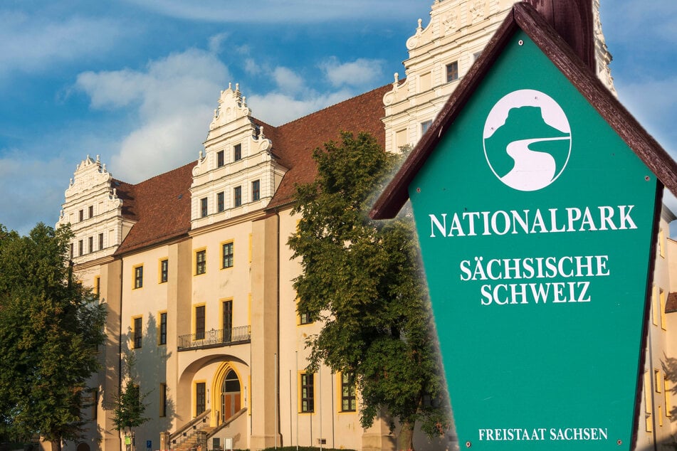 Sächsische Schweiz vor Gericht: Rechtestreit im Nationalpark