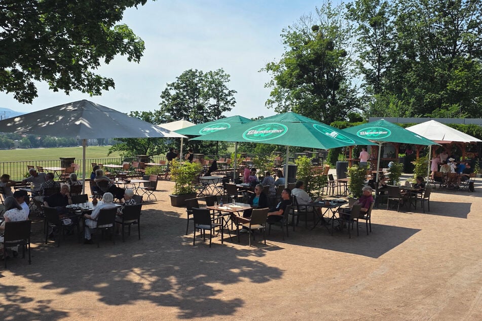 Der Biergarten wird aktuell noch von den Lingnerterrassen betrieben.