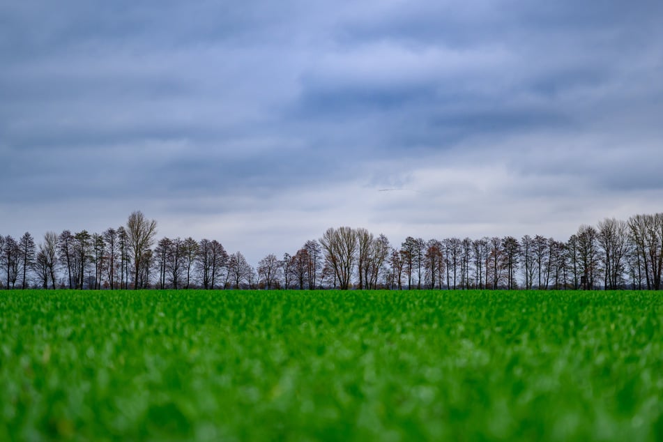 Der Mittwoch startet in Berlin und Brandenburg trüb. (Archivbild)