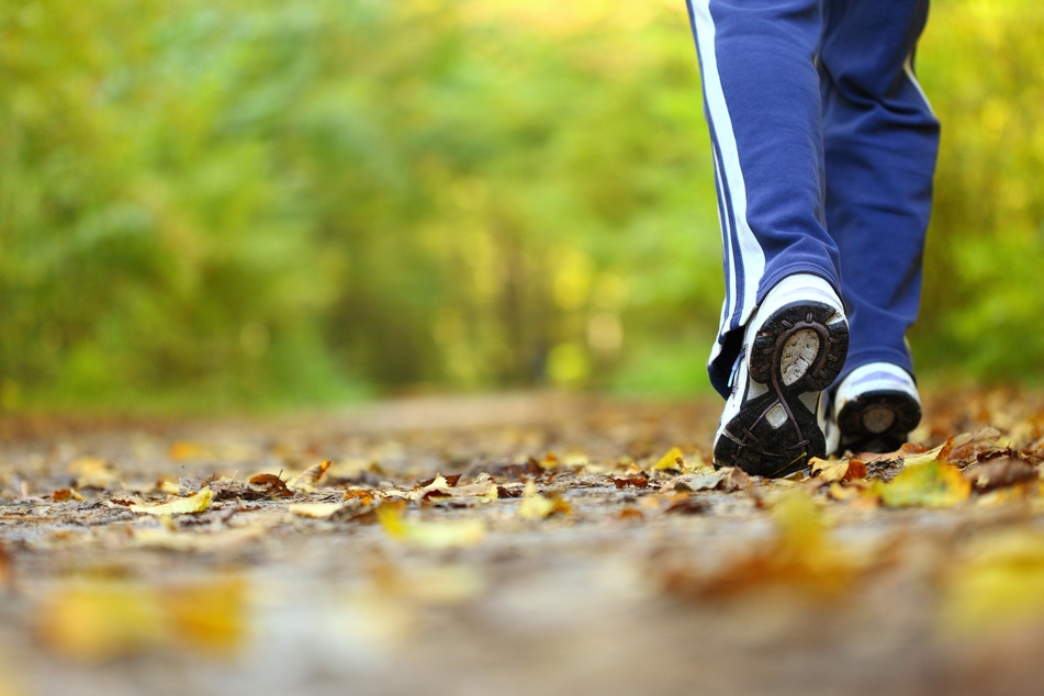 Menschen, die im Wald joggen gehen, sollten laut den Forschern auf den ständigen Blick auf die Fitness-Uhr verzichten. (Symbolbild)