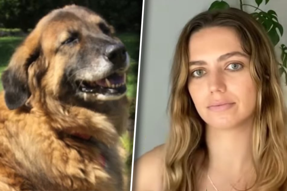 Makalea wusste rund ein Jahrzehnt nicht, welche Krankheit sie und ihre drei Geschwister plagte. Dabei war ihre Hündin Molly all die Jahre der Schlüssel.