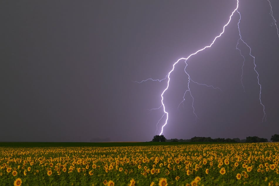 Blitz und Donner in Sachsen-Anhalt - und plötzlich ist der Strom weg!