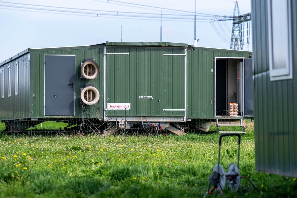 In diesem Mobilstall sind 900 Hühner untergebracht. Im zweiten Stall sind es 800.