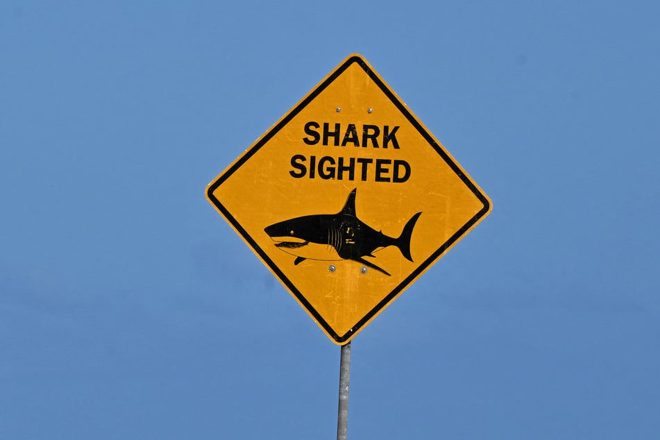 A boy was left in critical condition after being mauled by a shark in Sydney Harbor on Sunday.