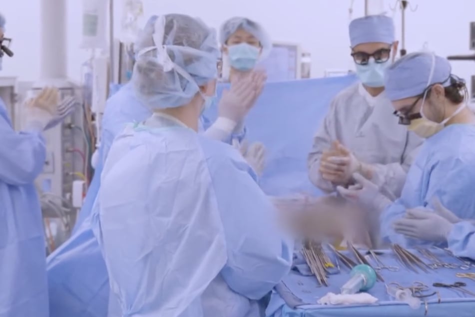 Geschafft! Das Ärzteteam applaudierte sich nach der geglückten Transplantation selbst.