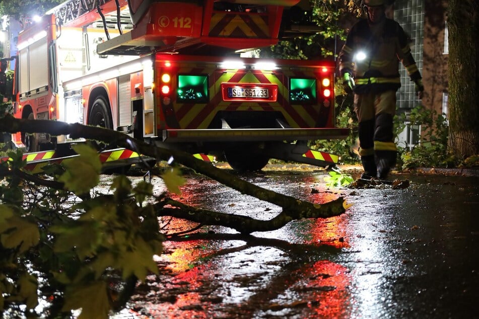 In Solingen musste die Feuerwehr umgestürzte Bäume und größere Äste von Straßen und Gehwegen entfernen.