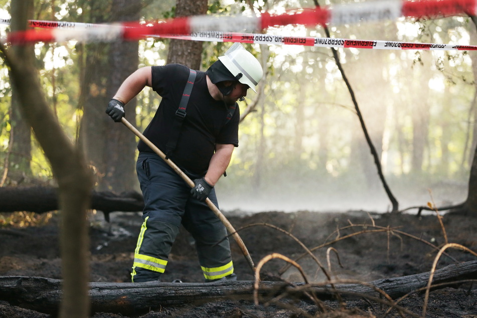 Waldbrand bei Dormagen: Erhöhte Gefahr wegen Trockenheit in NRW