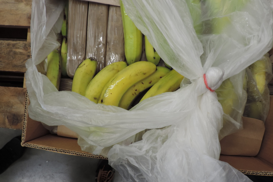 In Bananenkisten aus Südamerika finden Ermittler immer wieder verstecktes Kokain. Hier ein Fund des LKA in Bayern.