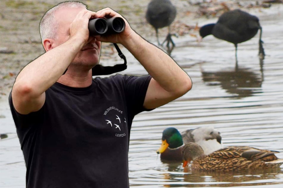 Leipzig: Alljährliches Drama in Leipzig: Retter müssen zahlreiche Tiere einfangen