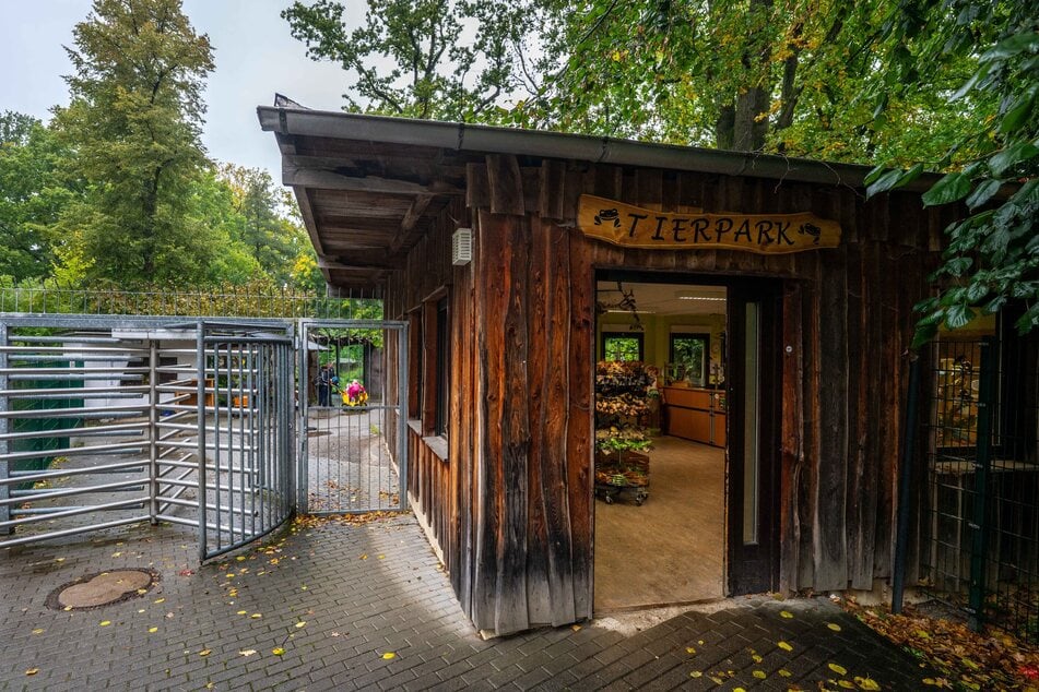 Kleinvieh macht auch Mist: Die Mini-Spende kam 2015 dem Chemnitzer Tierpark zugute – für eine große Futterlieferung dürfte sie kaum gereicht haben.